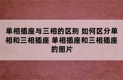 单相插座与三相的区别 如何区分单相和三相插座 单相插座和三相插座的图片